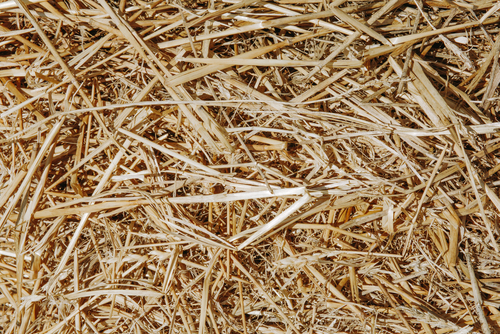 MDF-System-Einstreu-im-Check-Stroh